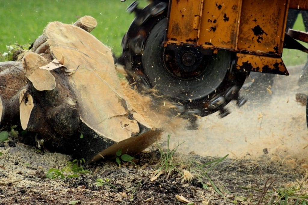 stump grinding with more depth perception